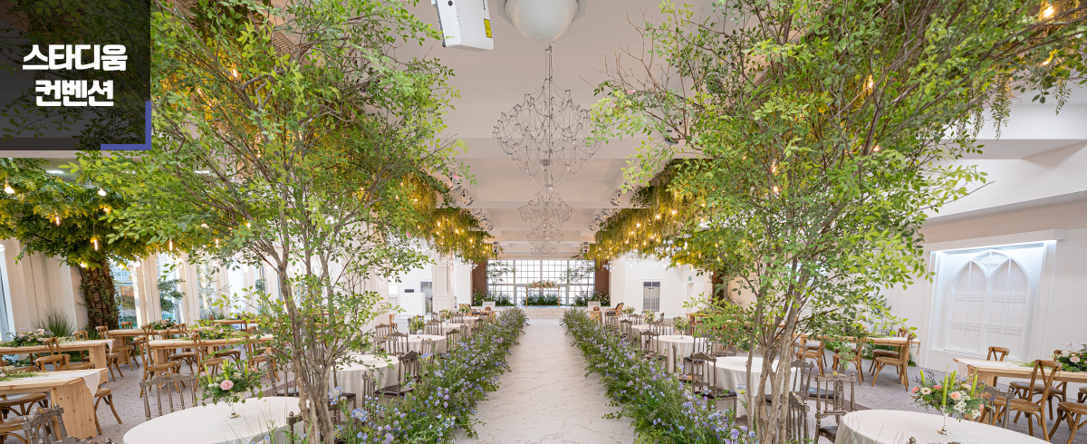 스타디움컨벤션